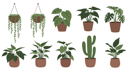 Diverse collection of potted houseplants and hanging greenery provides a stylish variety of botanical illustrations for home decor.