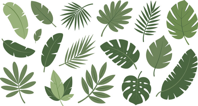 Green tropical leaves vector collection featuring botanical foliage elements for nature decor patterns branding illustration modern flat design