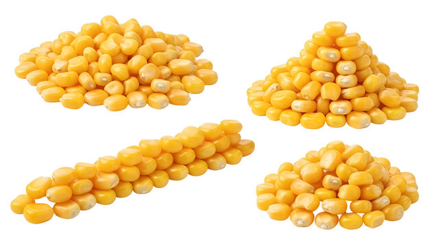 Four piles of corn kernels isolated on transparent background