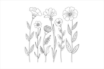 A delicate botanical illustration of various wildflowers in black and white