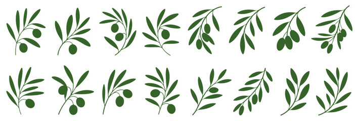 Obraz premium Olive Branch Drawing Vector Illustration, Olive Tree Branches Set, Eco Healthy Organic Products or Olive leaf branch.