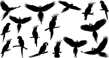 Large collection of parrot and cockatoo bird silhouettes in various flying and perched poses for tropical nature design vector set © Lunavera art