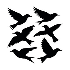 A flock of silhouetted birds in various flight poses on transparent background