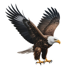 Obraz premium Bald Eagle Flying with Wings Spread, Detailed Feathers, Isolated on transparent background