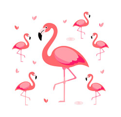 Obraz premium Pink flamingo birds standing in a tropical pattern