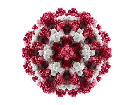Detailed 3D Render of a Canine Parvovirus Structure Microbiology Image