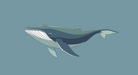 Illustration of a blue whale swimming in the ocean with a calm background. © Tri