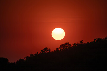 Zachód słońca za drzewami © Grzegorz