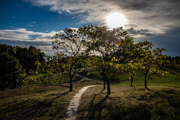 Ogród botaniczny w Myślęcinku © Grzegorz