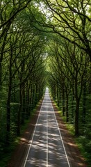 Obraz premium An endless road through a dense, green forest canopy, evoking a sense of adventure and tranquility
