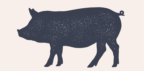 Fototapeta na wymiar Pork, pig, hog, meat sketch, hand drawn. Vintage print, drawing pig hog silhouette, sketch ink pencil style drawing. Butchery pork pig silhouette, animal, meat shop. Vector Illustration