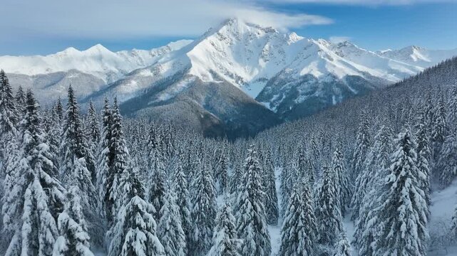 Majestic Winter Scenery: Snow-Covered Forest and Mountain Peaks for Nature Lovers