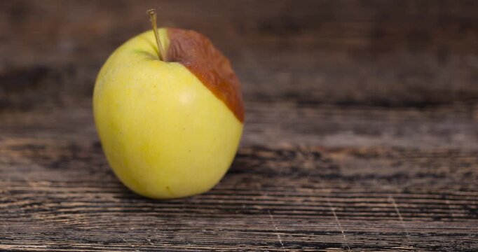 a whole yellow apple with a large orange spot during rotting, one rotting apple on a black wooden table made of pine wood