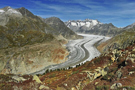 Great Aletsch Glacier, the heart of the Jungfrau-Aletsch-Bietschhorn UNESCO World Heritage Site, Goms, Canton Valais, Switzerland