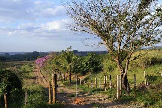 Red soil road, Serra da Canastra landscape, Minas Gerais state, Brazil