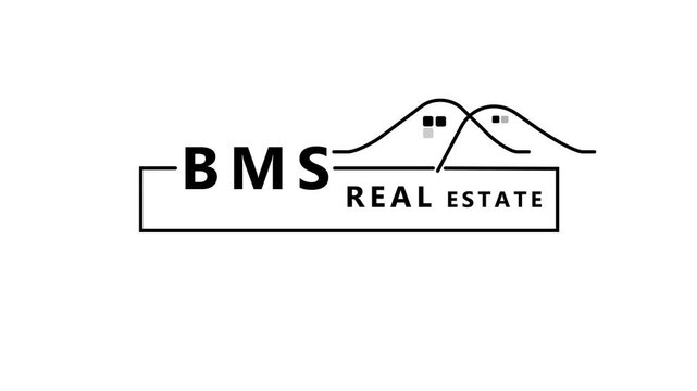 BMS logo with abstract mountain peaks and rectangle frame image photo