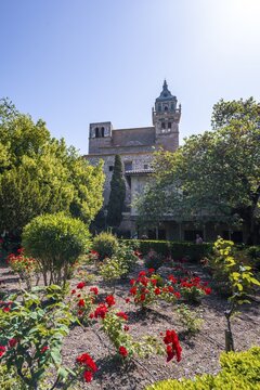 Valldemossa Charterhouse, Rose Garden, Jardines Rey Juan Carlos, Valldemossa, Serra de Tramuntana, Majorca, Balearic Islands, Spain