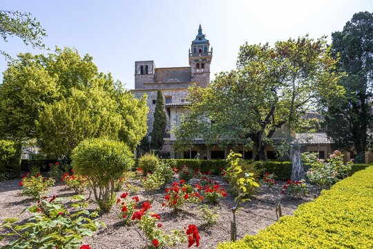 Valldemossa Charterhouse, Rose Garden, Jardines Rey Juan Carlos, Valldemossa, Serra de Tramuntana, Majorca, Balearic Islands, Spain