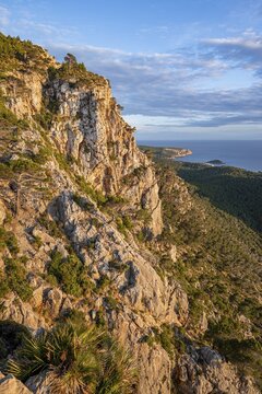 View of steep cliffs in the evening light, mountains and coast with sea, hiking to La Trapa from Sant Elm, Serra de Tramuntana, Majorca, Spain