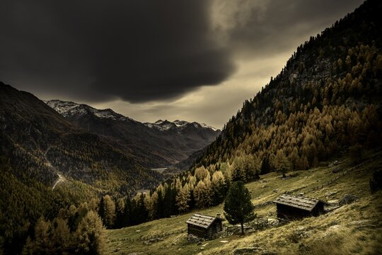 Mountain hut on mountain meadow with autumnal mountain forest and threatening cloudy sky, Martell valley, Merano, Vinschgau, South Tyrol, Italy