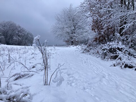 Landschaft in der Natur tief verschneit zwischen Wald und Wiese mit Feldweg im Bergischen Land