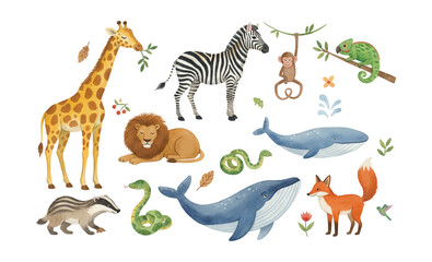 Fototapeta premium Cute wild animal collection including a giraffe zebra lion monkey whale fox and badger in watercolor