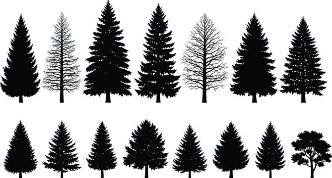 Collection of black silhouette pine trees fir trees and bare trees on white background for nature and forest themes