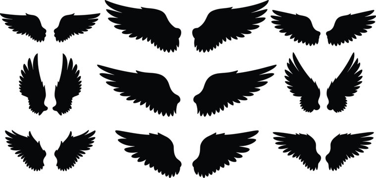 Collection of black silhouette angel wings and bird wings in various shapes and sizes on a white background