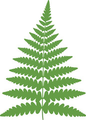 Obraz premium Chinese New Year Green Fern Leaf Illustration for Festive Decoration, Symbolizing Prosperity and Renewal