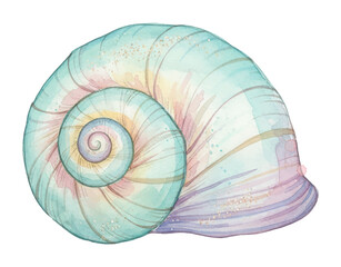 Obraz premium Beautiful Watercolor Seashell Illustration with Pastel Blue Green Pink Purple Hues and Elegant Spiral Design