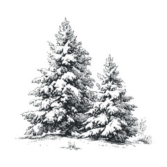 Snow-covered evergreen trees stand majestically in a winter forest scene, depicted with intricate hand-drawn sketch lines and a vintage engraving style.