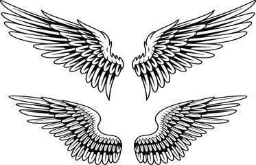 Obraz premium Vintage hand drawn pair of spread wings, heraldic eagle wing sketches, isolated black vector element