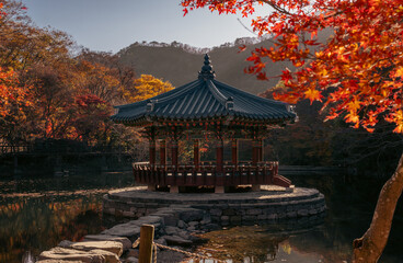 Fototapeta premium Autumn Pavilion at Naejangsan National Park, South Korea