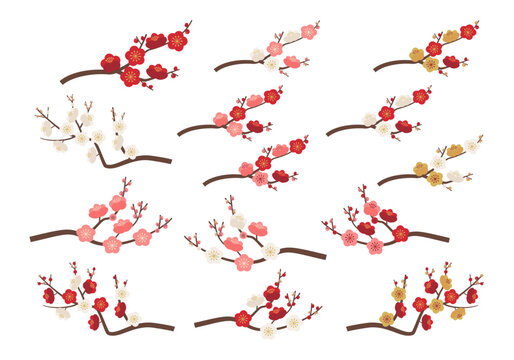 梅の花枝セット