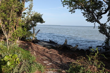The gulf coast looking south from the Everglades is a wild coastline full of inlets and islands. It is a protected area that is key for many types of wildlife and plants in this Southern Florida area. © Saxton Studio