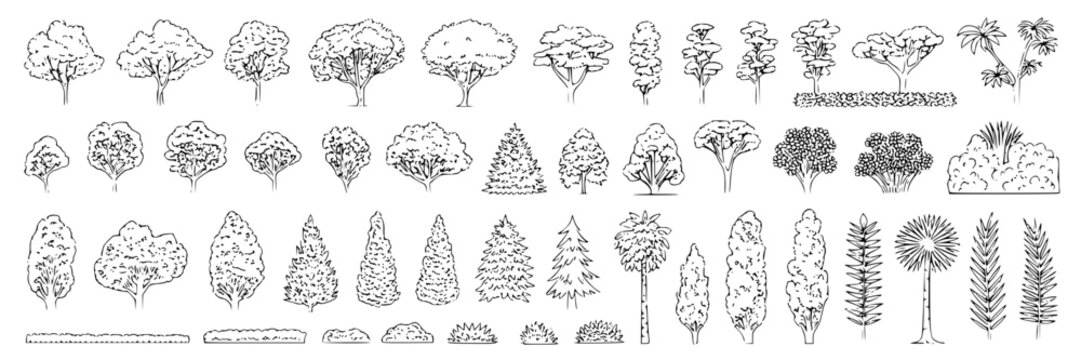 Collection of hand-drawn black and white line art vector illustrations of various trees, shrubs, and bushes for architectural design or landscape projects.