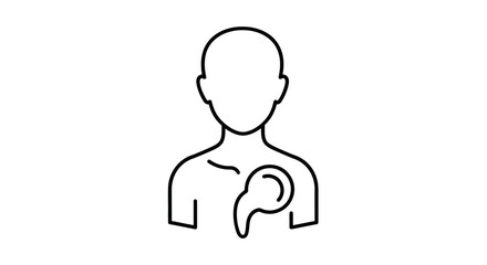 Minimalist line art icon of a human torso with a highlighted stomach, symbolizing digestive health, gastrointestinal functions, and internal organ anatomy for medical and wellness concepts