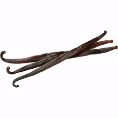 High-quality vanilla beans for gourmet cooking and baking