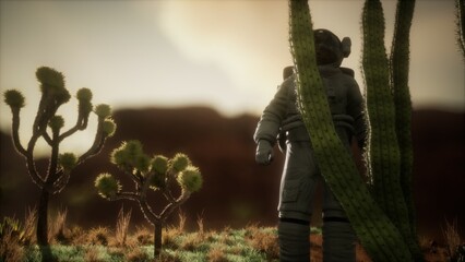 An astronaut stands amongst unusual cacti under a glowing sky on a distant planet. The landscape features rocky terrain and sparse vegetation, giving an otherworldly feel at sunset. © icetray