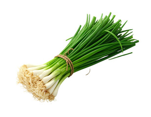  Loosely Tied Chives Bundle with Natural Curve, Angled Perspective, Isolated on Transparent Background