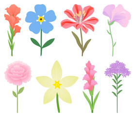 PNG Colorful floral vector illustrations element set on transparent background