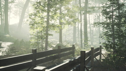 Fototapeta premium Morning light streams through lush green foliage, illuminating a serene forest scene. A sturdy wooden bridge crosses a gentle path, inviting exploration and tranquility in nature.