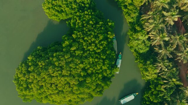 Aerial view of boats sailing on the river, framed by the vibrant green trees of the lush forest, a serene landscape, Kodi Bengare, Karnataka, India.
