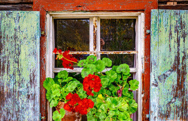 Bright sunny day with potted plants by the window in a cozy room surrounded by nature in the mountains