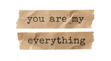 Romantic quote &ldquo;you are my everything&rdquo; split across two torn paper strips with vintage texture, isolated on transparent background for Valentine and wedding designs