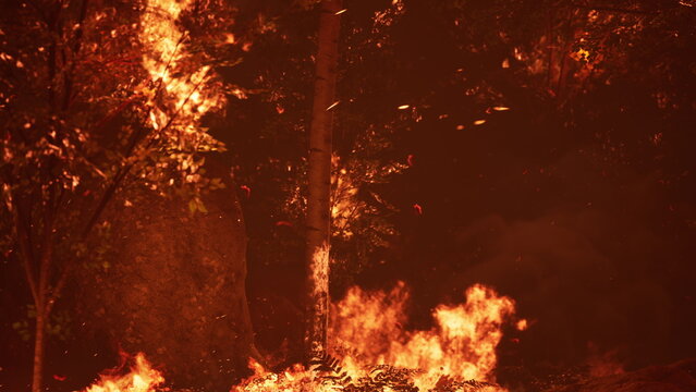 Intense flames dance among trees as the sun sets, casting an orange hue throughout the forest. Leaves flutter in the heat, creating a dramatic and dynamic scene of natures fury.