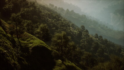 Soft light cascades over a lush green valley, revealing a tranquil scene of trees and rolling hills. Nature thrives in this peaceful, untouched landscape during the early morning hours. © icetray