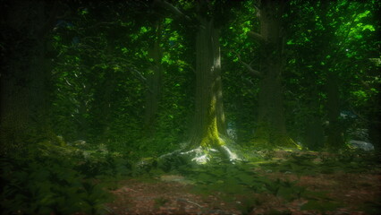 Tall trees fill the scene, their thick trunks covered in vibrant green leaves. Sunlight shines gently through the canopy, creating a serene and magical atmosphere in the forest.