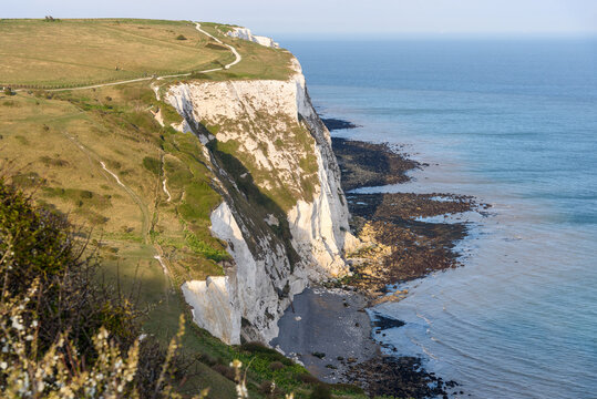 White cliffs of Dover as seen from a clifftop footpath at sunset in spring