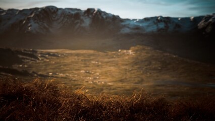 Fototapeta premium Warm sunlight bathes the rolling hills in gold, while the distant snow capped mountains rise against a clear sky. Natures beauty shines as day transitions to evening.